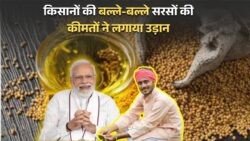 सरसों की कीमतों में ₹1000 कुंतल का उछाल: किसानों के चेहरे पर लौटी मुस्कान!